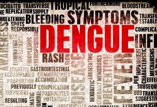 understanding tropical diseases