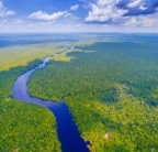 Seguridad en la Selva Amazónica