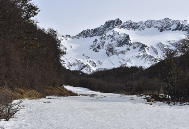 Sendero de trekking en Ushuaia